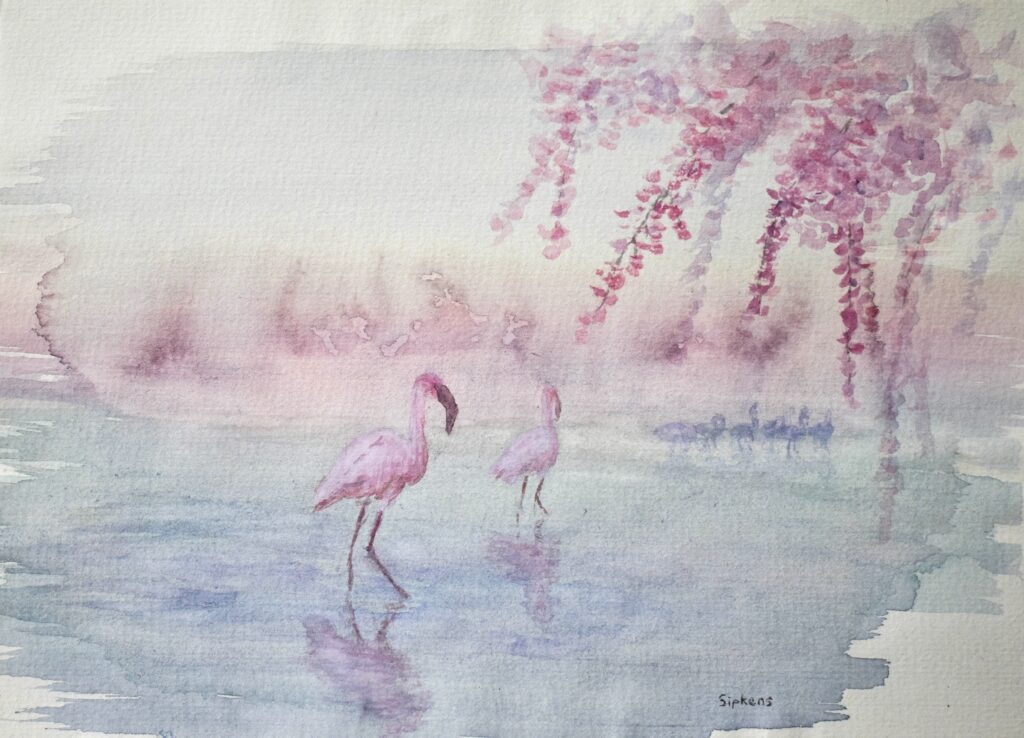 Flamingos